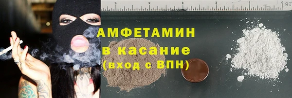 прущие грибы Козельск