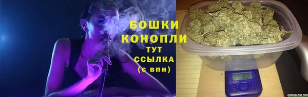 дурь Козловка