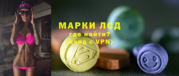прущие грибы Козельск