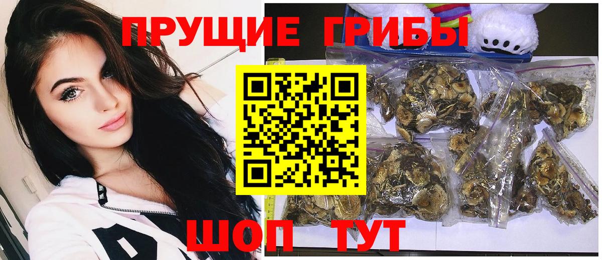 Мончегорск  Псилоцибиновые грибы мицелий  Галлюциногенные грибы GOLDEN TEACHER  Вход с VPN 